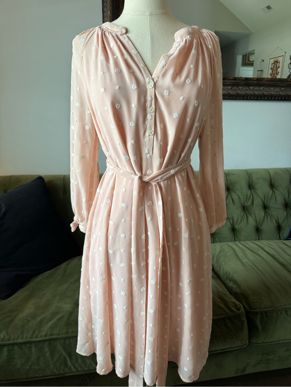 Ann Taylor Blush Pink Long Sleeve Belted Dress with White Dot Embroidery